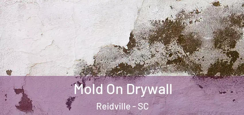  Mold On Drywall Reidville - SC