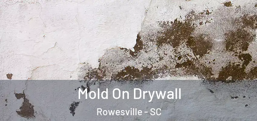 Mold On Drywall Rowesville - SC