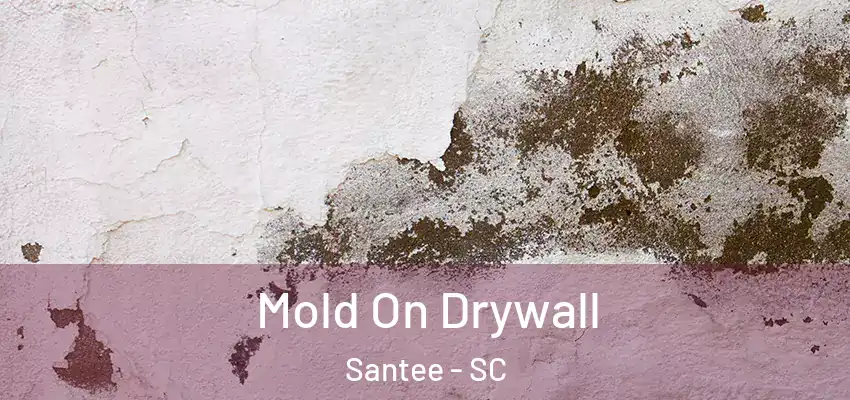 Mold On Drywall Santee - SC