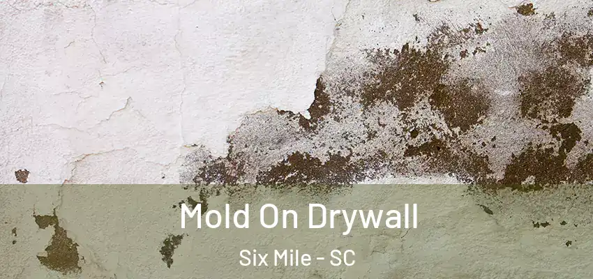  Mold On Drywall Six Mile - SC