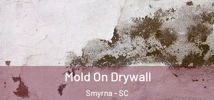  Mold On Drywall Smyrna - SC