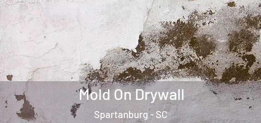 Mold On Drywall Spartanburg - SC