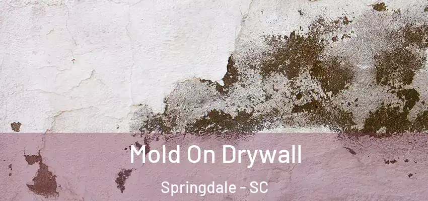 Mold On Drywall Springdale - SC