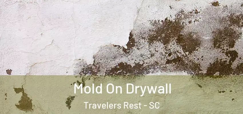 Mold On Drywall Travelers Rest - SC