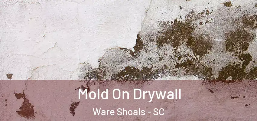Mold On Drywall Ware Shoals - SC