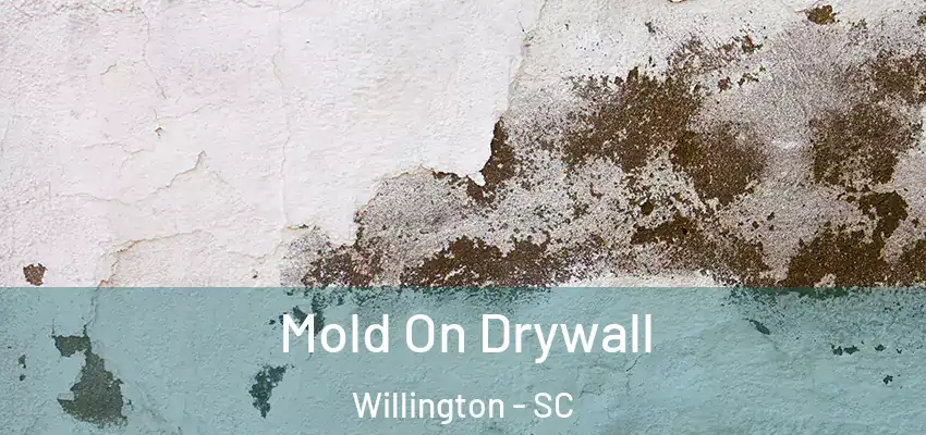  Mold On Drywall Willington - SC