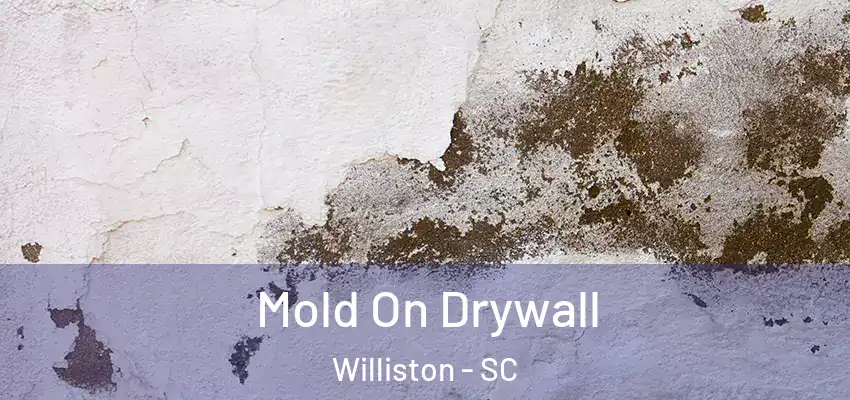 Mold On Drywall Williston - SC