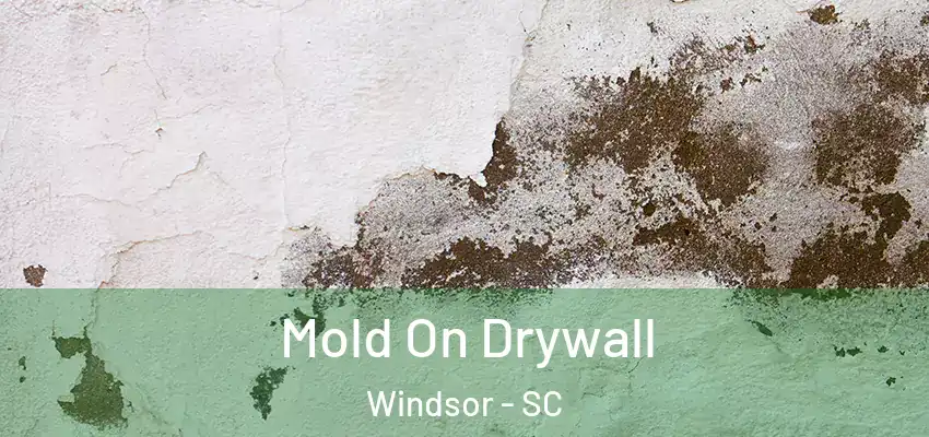 Mold On Drywall Windsor - SC