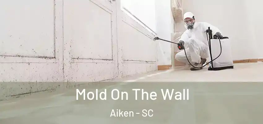  Mold On The Wall Aiken - SC