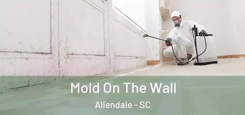  Mold On The Wall Allendale - SC