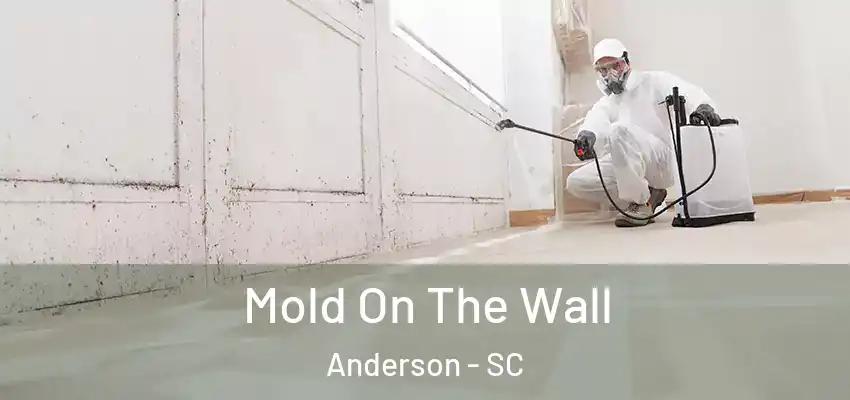  Mold On The Wall Anderson - SC