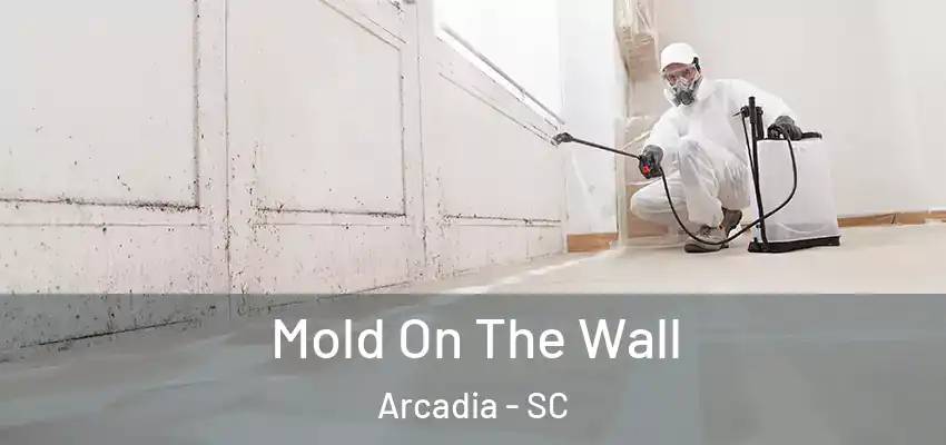 Mold On The Wall Arcadia - SC