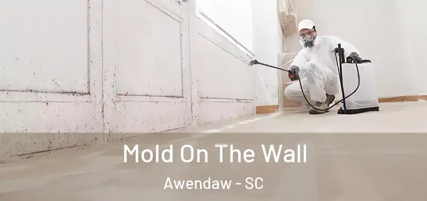  Mold On The Wall Awendaw - SC