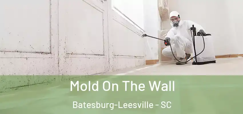  Mold On The Wall Batesburg-Leesville - SC