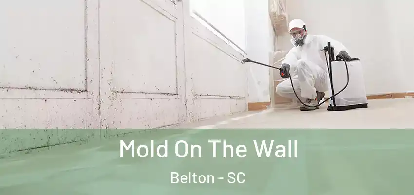  Mold On The Wall Belton - SC