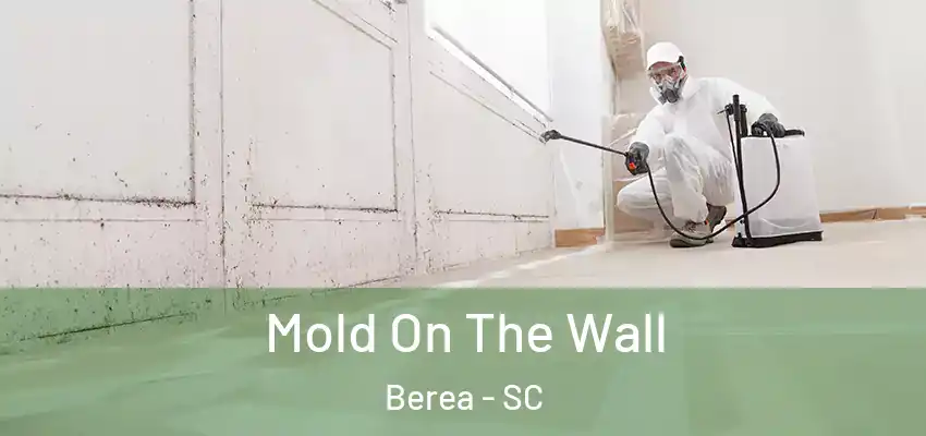  Mold On The Wall Berea - SC