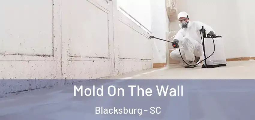 Mold On The Wall Blacksburg - SC