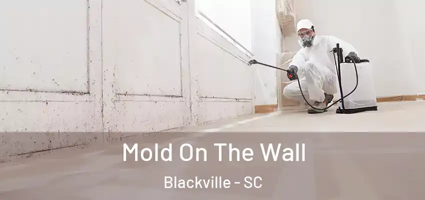  Mold On The Wall Blackville - SC