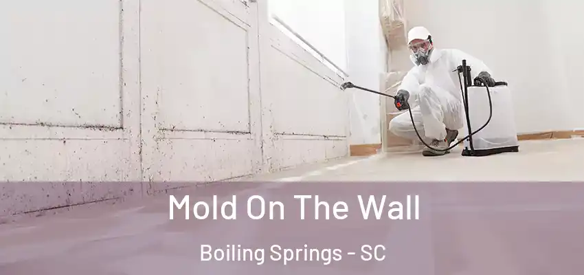  Mold On The Wall Boiling Springs - SC