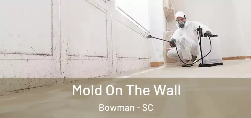  Mold On The Wall Bowman - SC