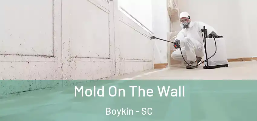 Mold On The Wall Boykin - SC