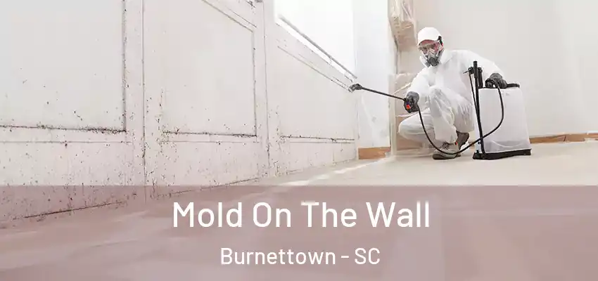  Mold On The Wall Burnettown - SC