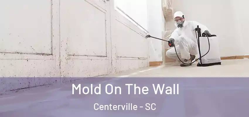 Mold On The Wall Centerville - SC