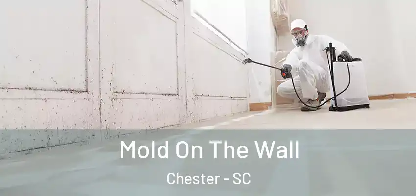  Mold On The Wall Chester - SC
