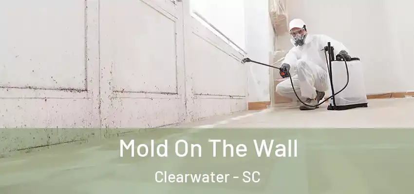  Mold On The Wall Clearwater - SC