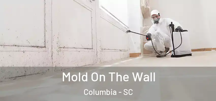  Mold On The Wall Columbia - SC