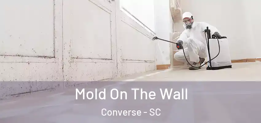 Mold On The Wall Converse - SC