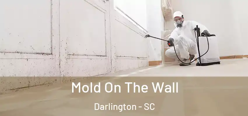  Mold On The Wall Darlington - SC