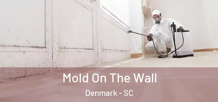 Mold On The Wall Denmark - SC