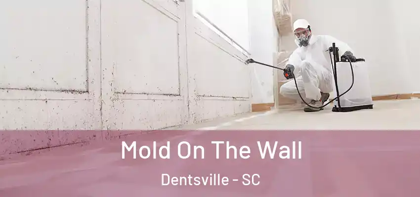  Mold On The Wall Dentsville - SC