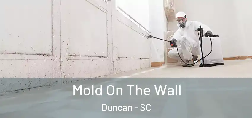 Mold On The Wall Duncan - SC