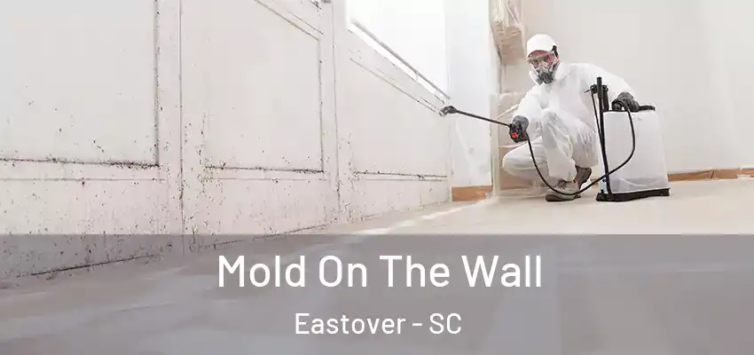  Mold On The Wall Eastover - SC