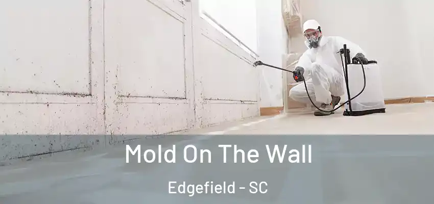  Mold On The Wall Edgefield - SC
