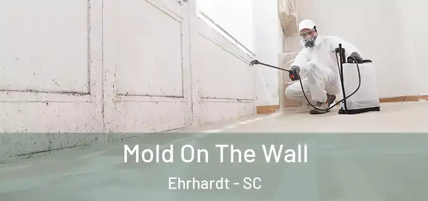  Mold On The Wall Ehrhardt - SC