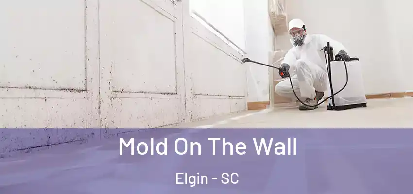 Mold On The Wall Elgin - SC