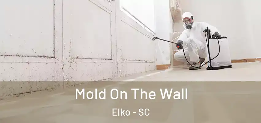  Mold On The Wall Elko - SC