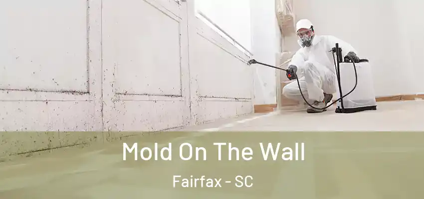  Mold On The Wall Fairfax - SC