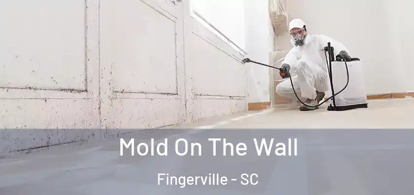  Mold On The Wall Fingerville - SC