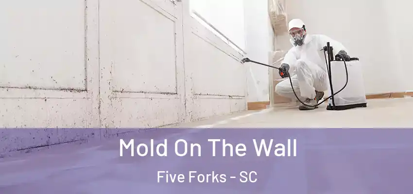  Mold On The Wall Five Forks - SC