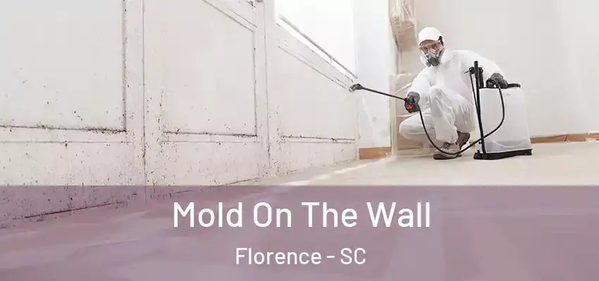  Mold On The Wall Florence - SC