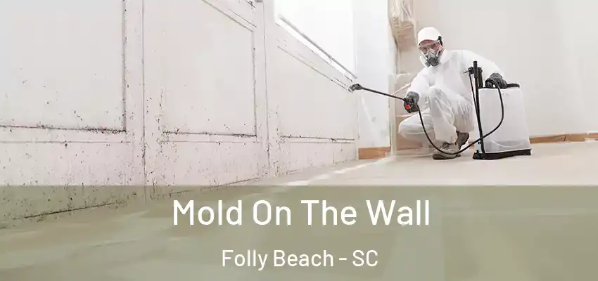  Mold On The Wall Folly Beach - SC