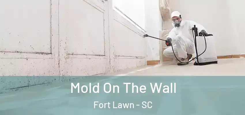 Mold On The Wall Fort Lawn - SC