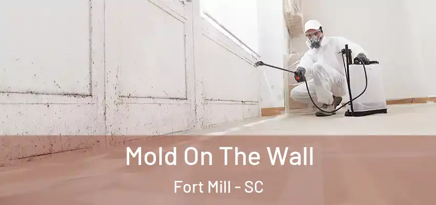  Mold On The Wall Fort Mill - SC