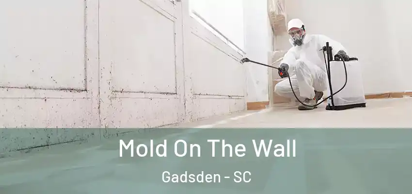  Mold On The Wall Gadsden - SC