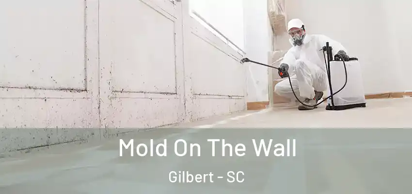 Mold On The Wall Gilbert - SC