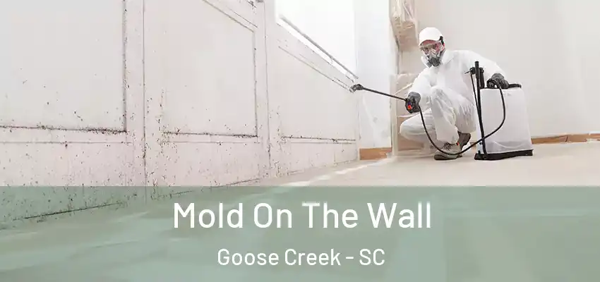  Mold On The Wall Goose Creek - SC